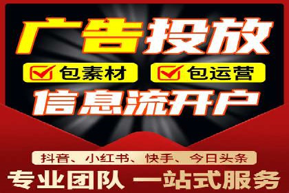 某行业领军企业的SEM广告投放策略